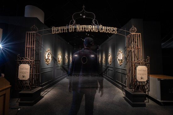 Death by Natural Causes. Photo by Mike Rathke