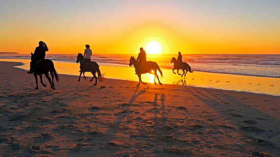 Go horseback riding at South Padre Island
