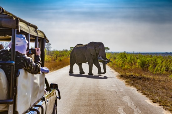 Safari in Krkuger National Par