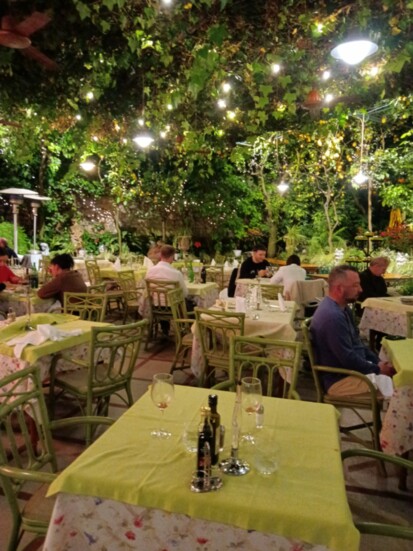 Dining under the Lemon Trees in Sorrento!