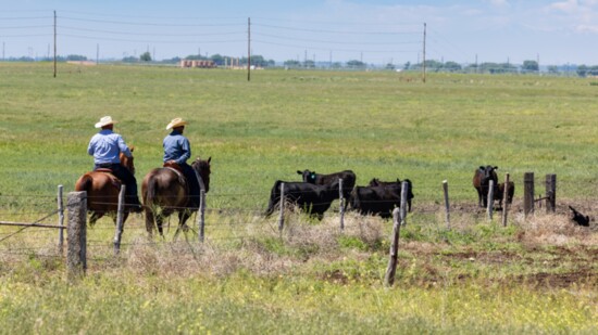 Agriculture and Energy Production Coexist at Colorado Ranch