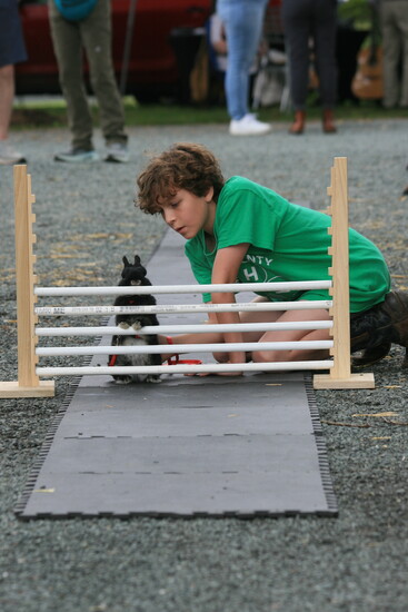 Aksel Henschel (age 11) and his Neatherland Dwarf rabbit, Nicholas. Photo Credit: Allyson Henschel.
