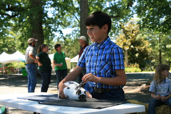 Hayes Muck (age 9) and his Mini Rex rabbit, Felix. Albemarle/Charlottesville 4-H Livestock and Home Arts Show. Photo Credit: Allyson Henschel. 