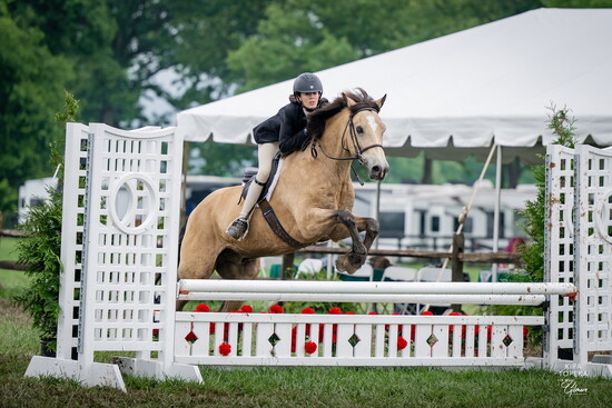 Jessica Orsagh and Oakfields Copper Sparrow at Upperville Colt & Horse Show June 8, 2025. Photo Credit: Erin Gilmore Photography.