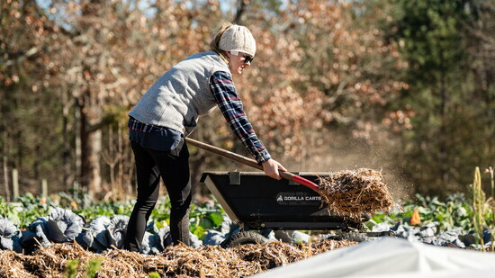 Featured image for Alpharetta's Own Farm