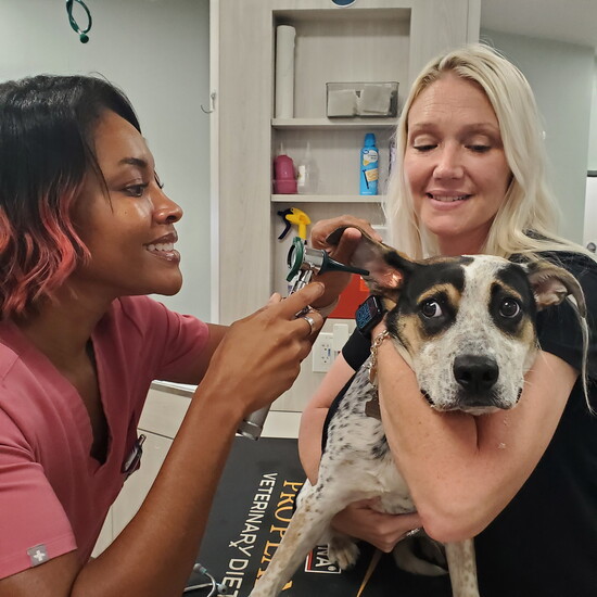 Dr. Camillya Fanning and Practice Manager Meg Willette