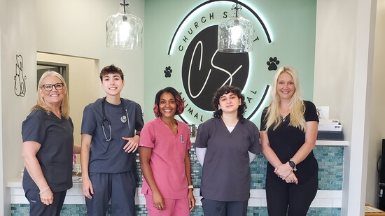 Church Street Animal Hospital Staff