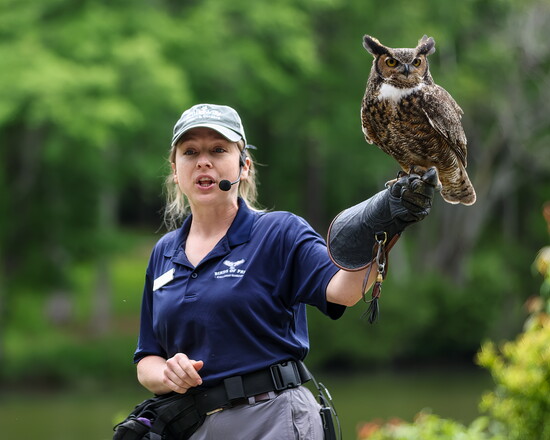 Meagan DuVall and Cedar (Great Horned Owl)