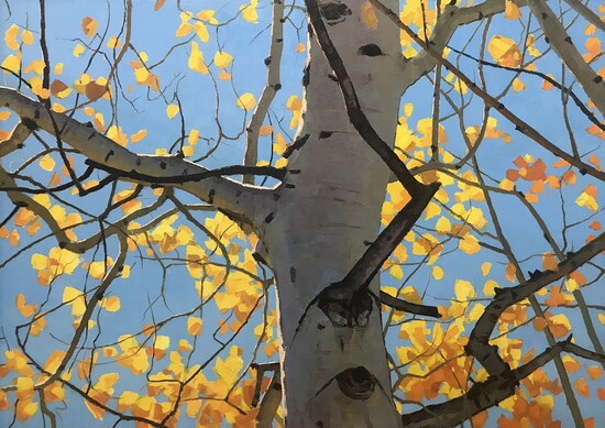 "Gold Nuggets" in a Blue Sky by Douglas Aagard Oil on canvas 34” x 48" Kneeland Gallery