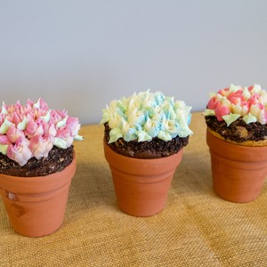 planted%20cupcakes-300?v=1