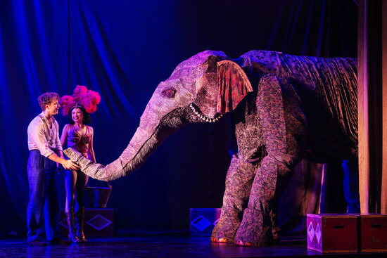 Water for Elephants, photo by Matthew Murphy
