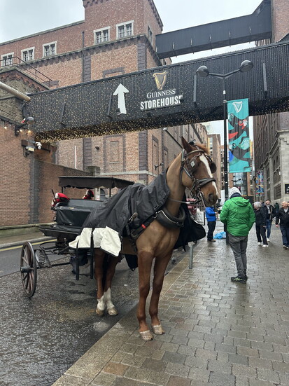 December is known to be a little rainy, but it only adds to the city’s ambiance.