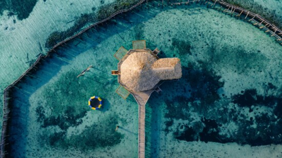 Thatch Caye drone view