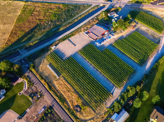Famici Wine Company