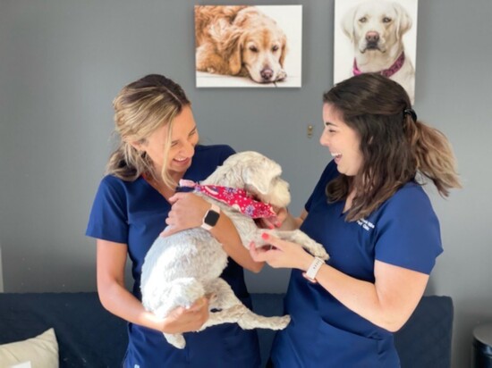 Practice Managers, Becky Reed & Ashley DeBano holding Charlie