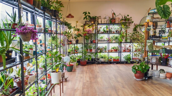 The Plant Shop/Courtesy of Visit Jackson, TN