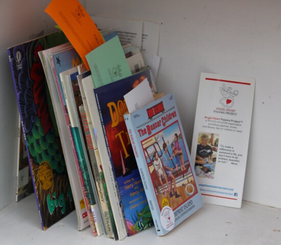 You can find a wide selection of books for all ages alongside information about Angel Heart Pajama Project inside every Little Free Library!