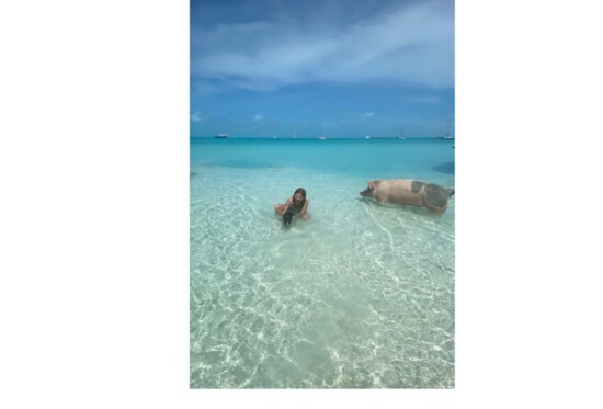 Swimming with the Pigs in Exuma, Bahamas