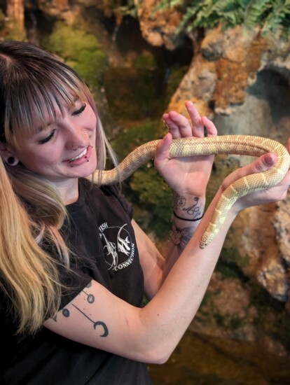 Snakes are surprisingly soft and gentle companions.