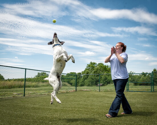 Resident fetch expert Flash with Sara Ferguson of the Animal Friends Humane Society Behavior Team.