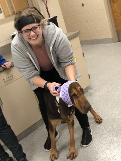 Paige Stowell poses for a picture with a bandaged dog.