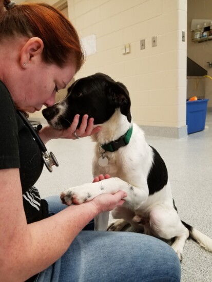 Leah Ivey gives a dog some affection.