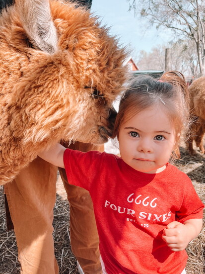 Urban Alpacas