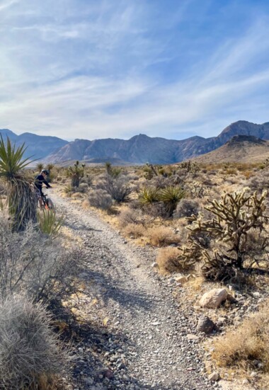 Many trails radiate out from Blue Diamond deep into the desert.