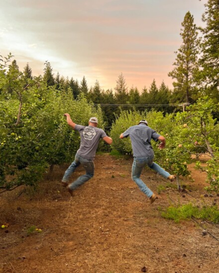 Pine-O-Mine Ranch U-Pick Apples