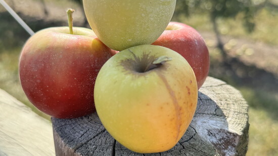 Featured image for Apple Pie
