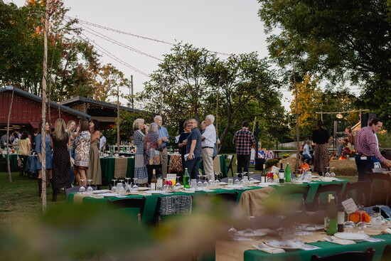 Evening at the Farm