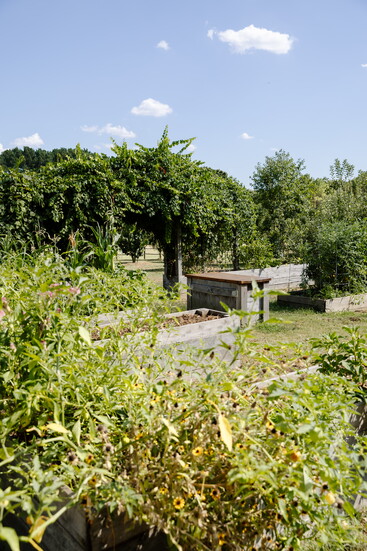 Photo 15 of 19