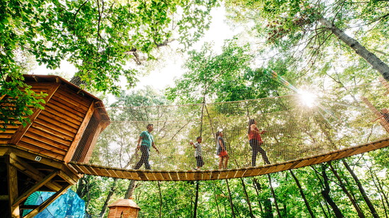 The Tree Adventure’s Treetop Village features 11 treehouses and the WonderNet, a giant trampoline suspended in the trees.