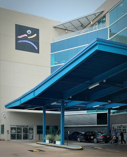 Steve Curry and Curry Boudreaux Architects designed a new canopy for Texas Orthopedic Hospital.