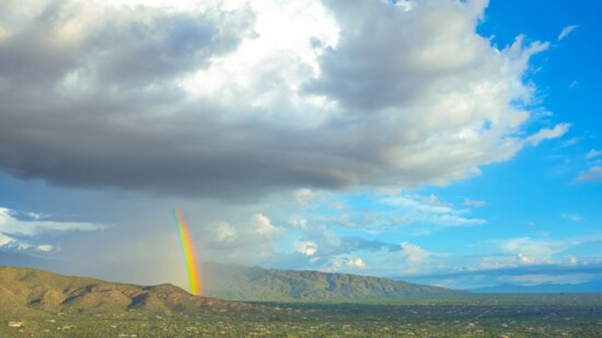 Monsoon Rainbow