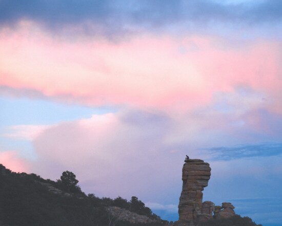 Windy Point Climber