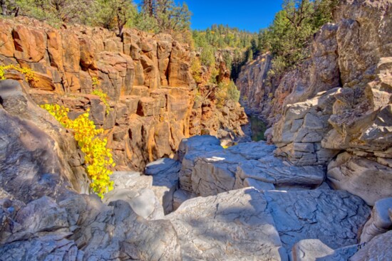 Sycamore Canyon Wilderness encompasses the second largest canyon in Arizona’s red rock country and was designated a wilderness area in 1972. A lesser known, but