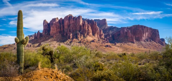 Covering over 160,000 acres, the Superstition Wilderness contains an abundance of cactus, wildflowers, and perennial water sources interwoven with the soaring m