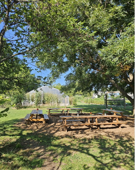 Apple Seeds Teaching Farm