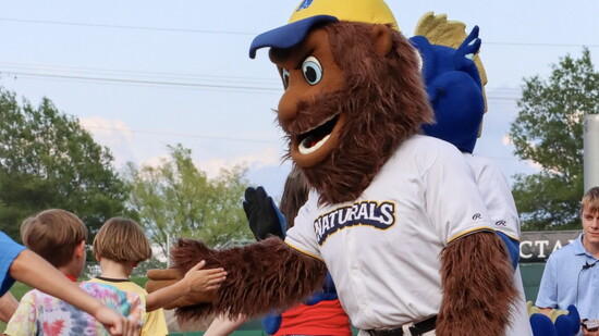 Northwest Arkansas Naturals Baseball at Arvest Ballpark