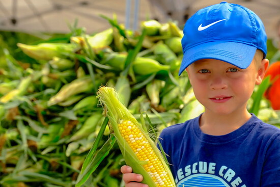 Corn Festival