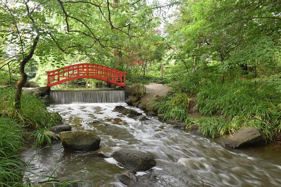 Cranbrook Japanese Bridge, July 16, 2019. Photo by Eric Franchy