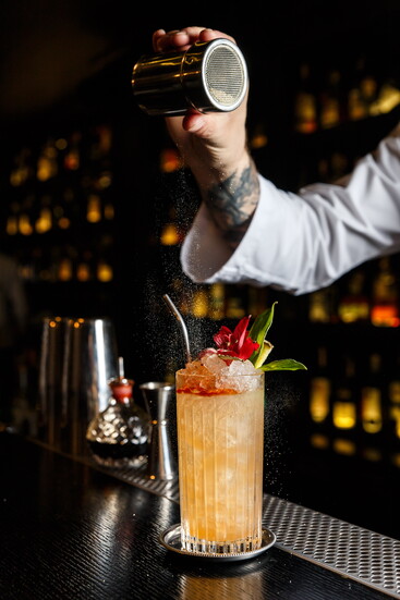 CocktailPRO – Spiced & Stirred