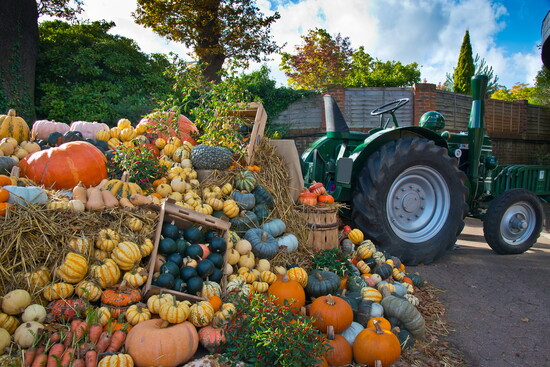 Clarksburg Farmers Market