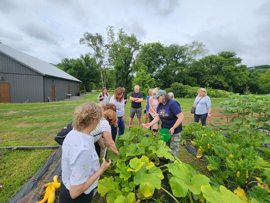 VueMaster Culinary Workshop Garden at Green Dour Gourmet.
