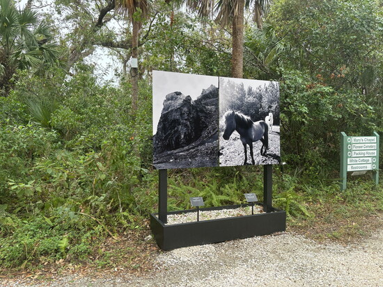 "Patti Smith: A Book of Days" invites visitors on a poetic journey through nature and memory, now on view through August 31.