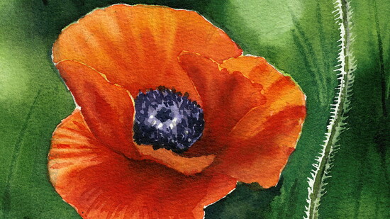 Painting by 12 year old Olivija