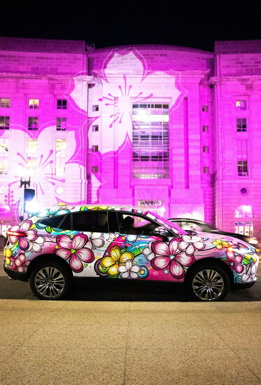Matt Long, Cherry Blossom Festival installation, Washington, DC.