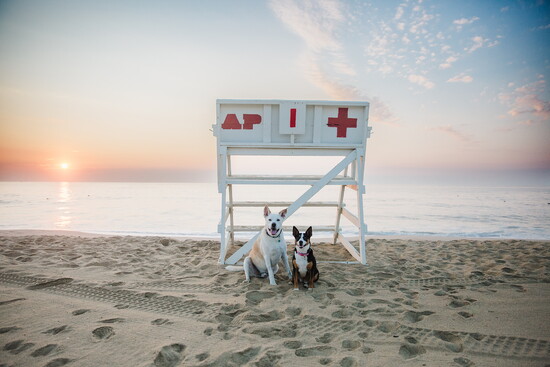 Hanging at Sunset on the beach in Asbury Park