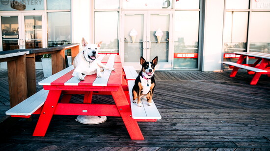 Relaxing on the Asbury Park boardwalk